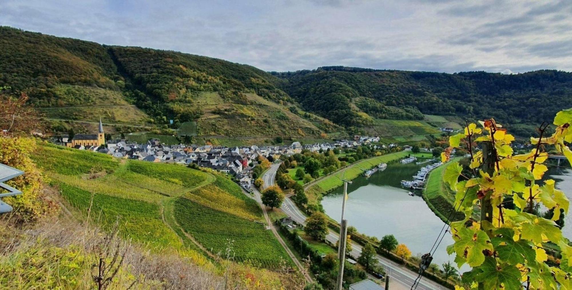 Ferienwohnung An Der Mosel, Romeo Senheim Exteriör bild